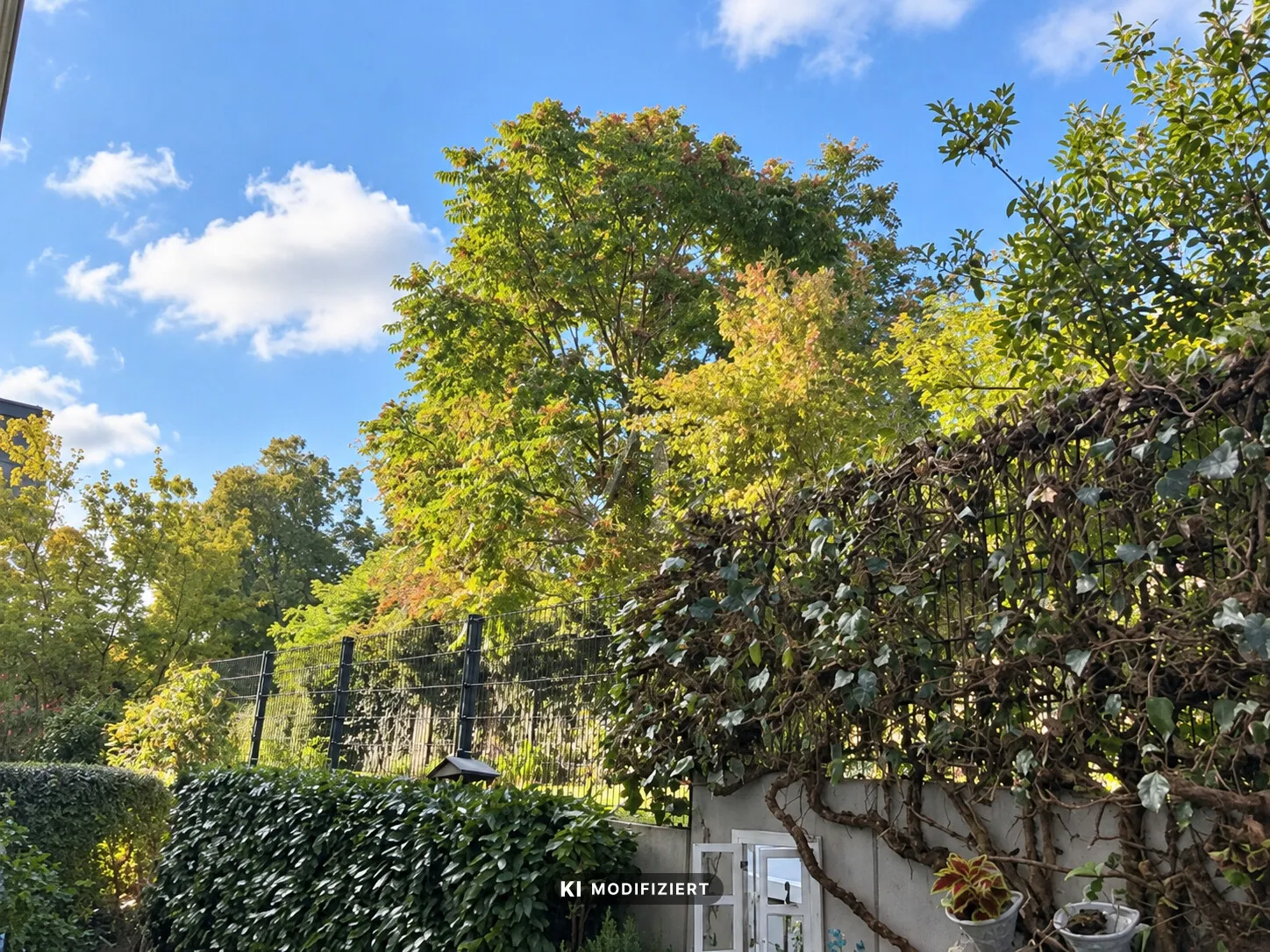 Eingewachsener Garten