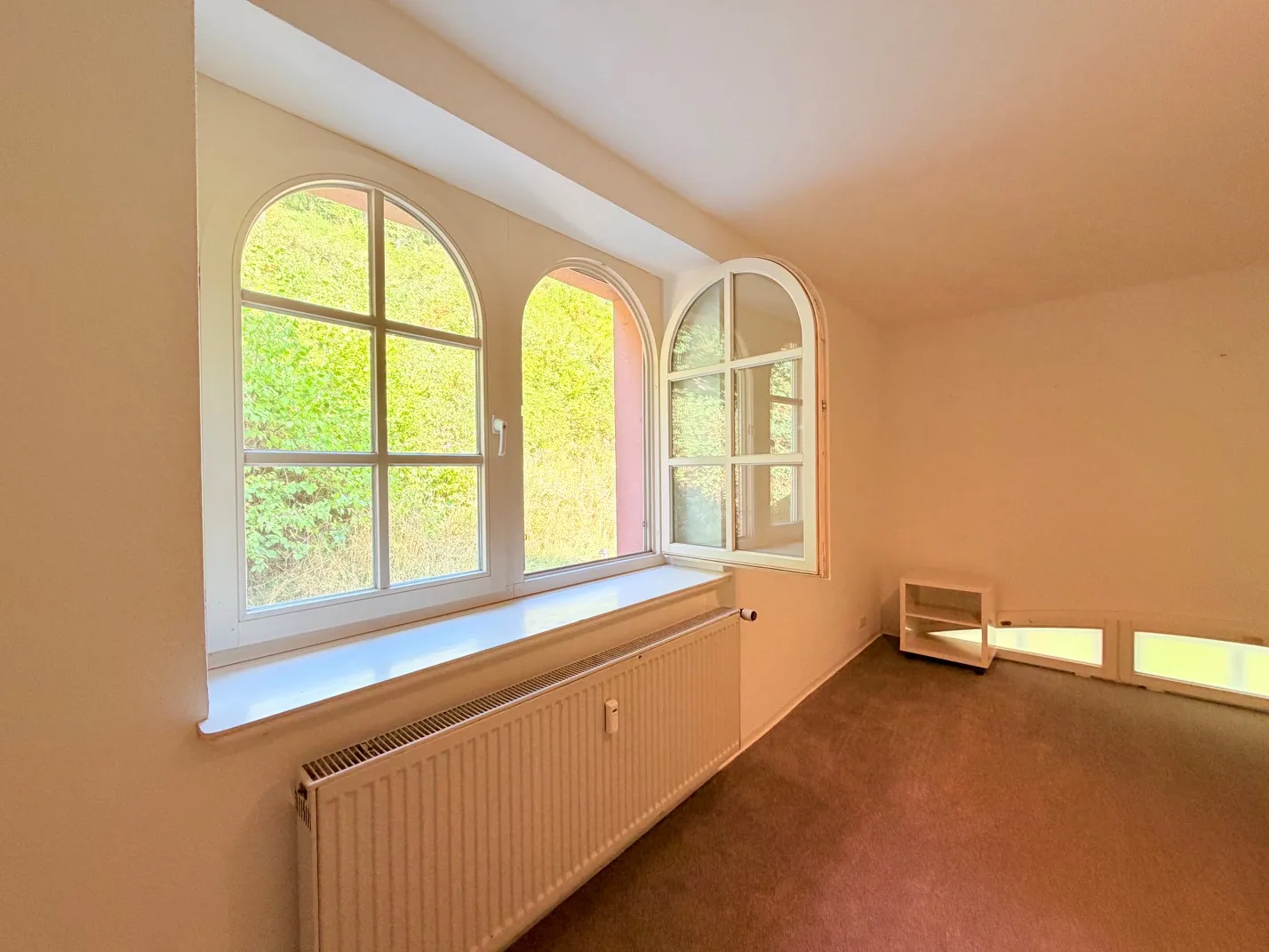 Blick ins Grüne