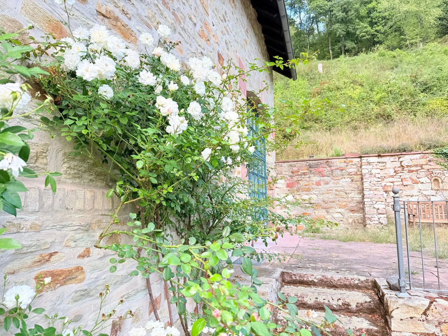 Gartendetail