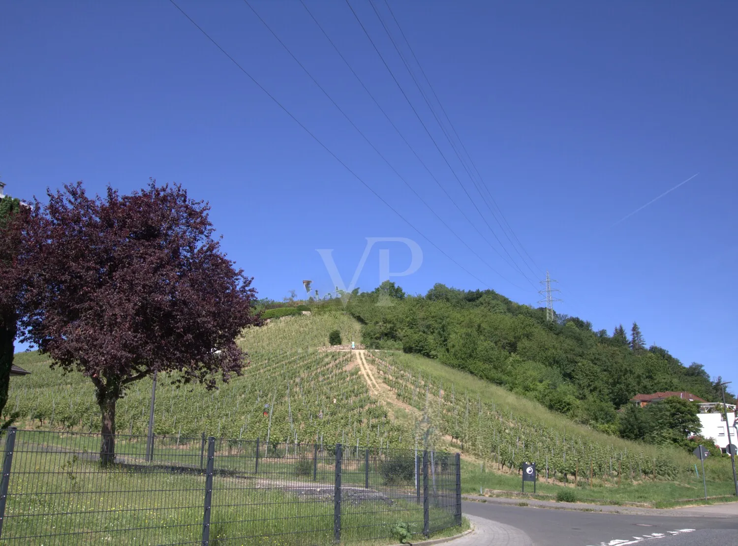 Blick in die Natur
