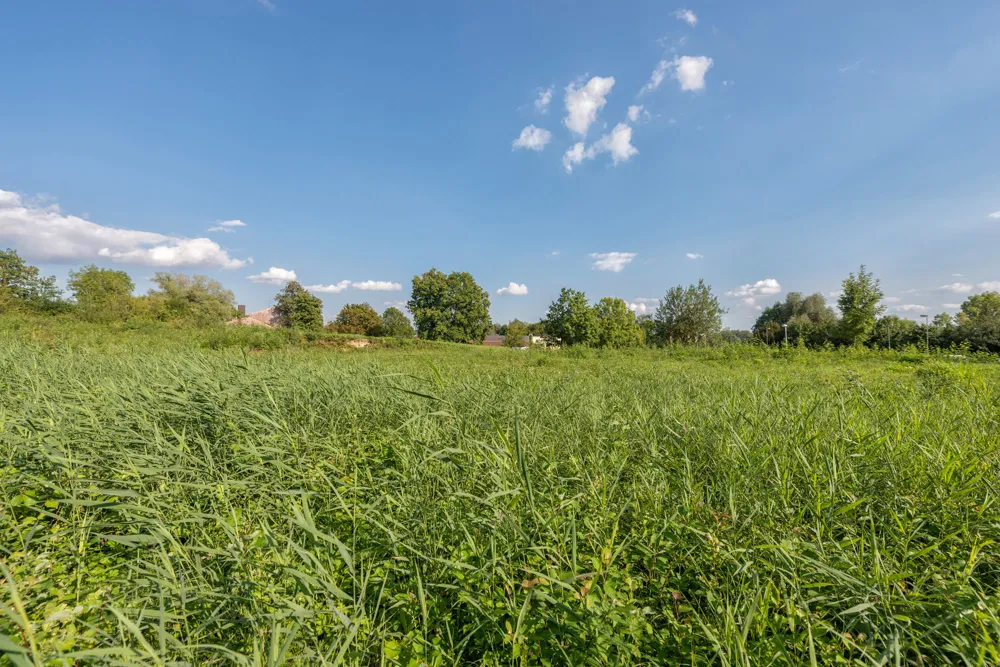 Grundstück für geplantes Neubauprojekt
mit Edeka als Ankermieter 
sowie 2 Arztpraxen in Neuhaus