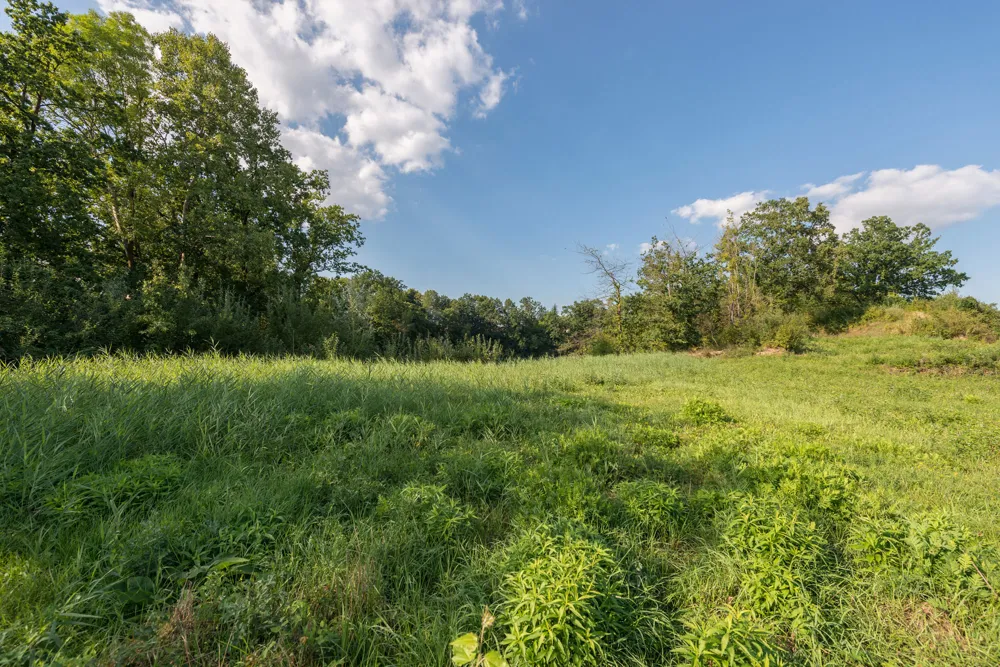 Grundstück für geplantes Neubauprojekt
mit Edeka als Ankermieter 
sowie 2 Arztpraxen in Neuhaus
