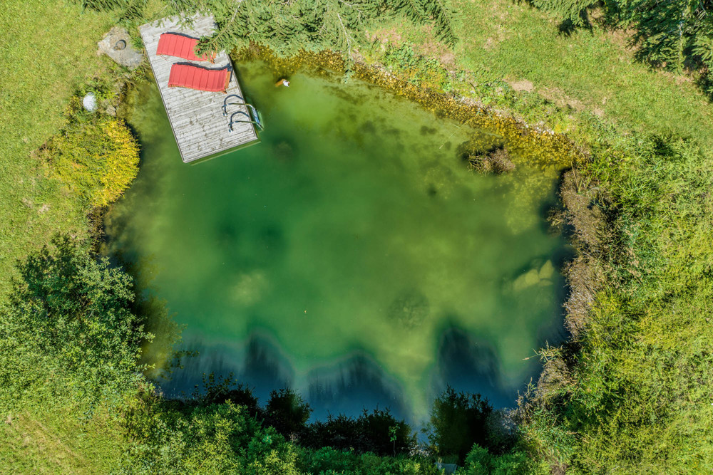 Schwimmteich
