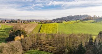 von_poll_real_estate_property_25166019UG_image_21