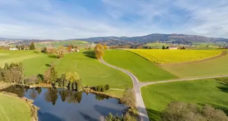 von_poll_real_estate_property_25166018DG_image_7