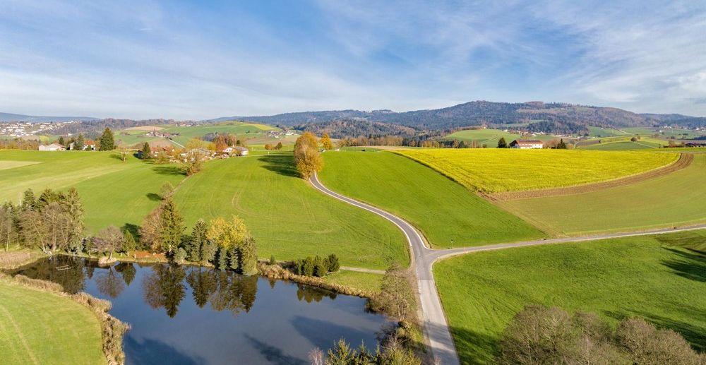 Umgebung