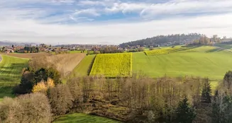 von_poll_real_estate_property_25166018DG_image_18