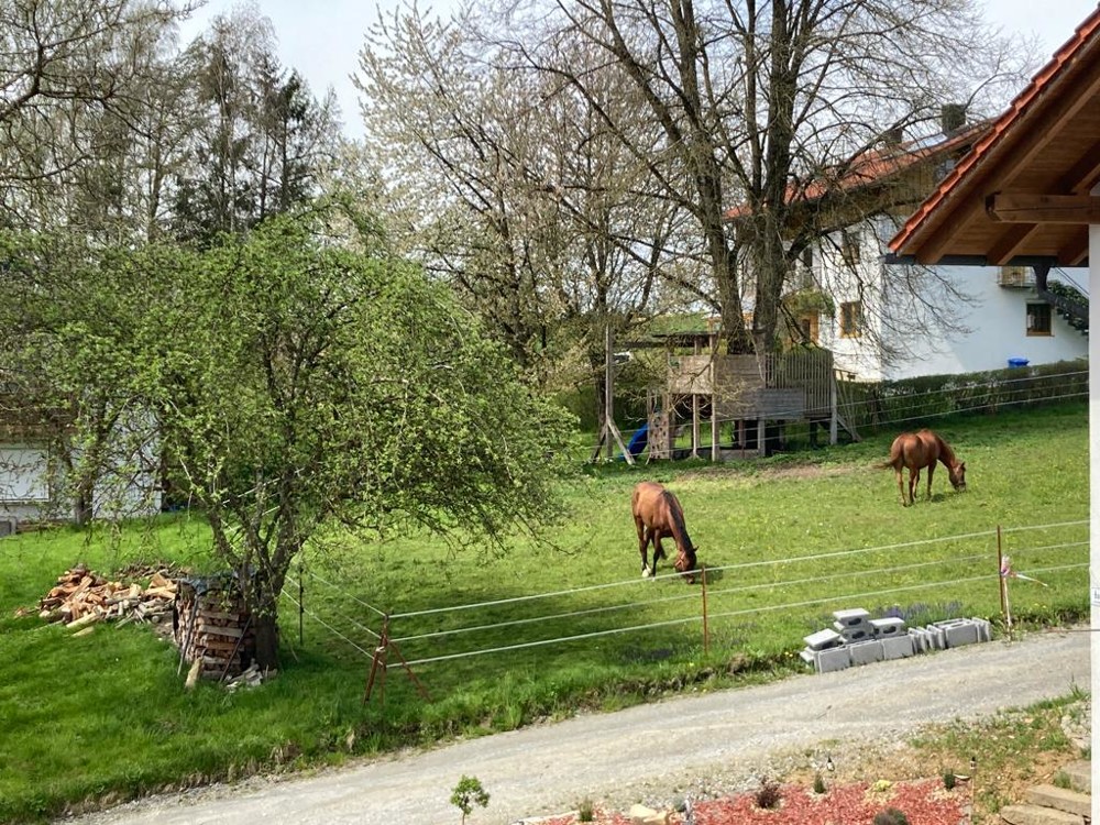 Umgebung