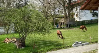 von_poll_real_estate_property_25166018DG_image_19