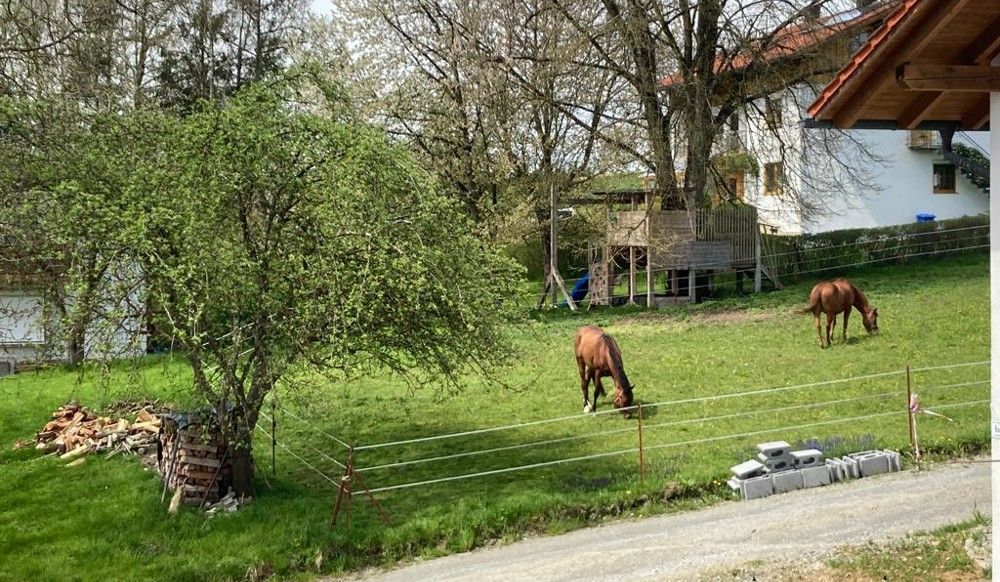 Umgebung