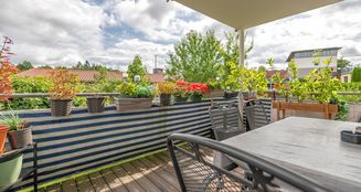 von_poll_real_estate_property_25166027_image_12