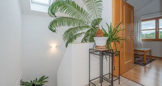von_poll_real_estate_property_25166023_image_19