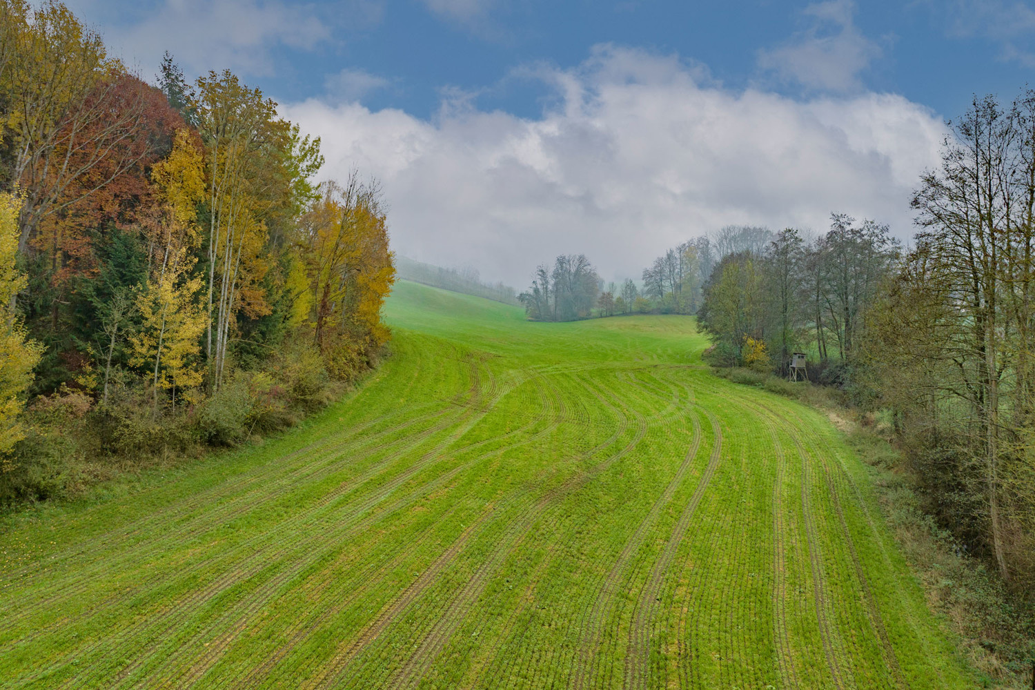 Landwirtschaftliche Fläche ideal für Solarpark auf mehr als 5 ha erweiterbar