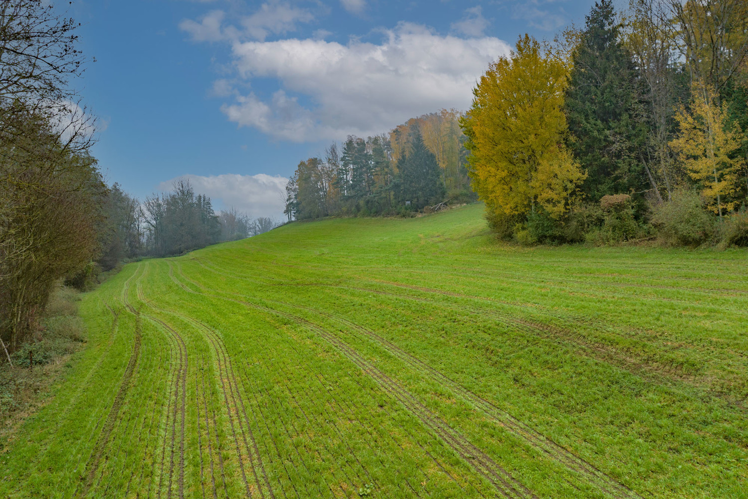 Landwirtschaftliche Fläche ideal für Solarpark auf mehr als 5 ha erweiterbar