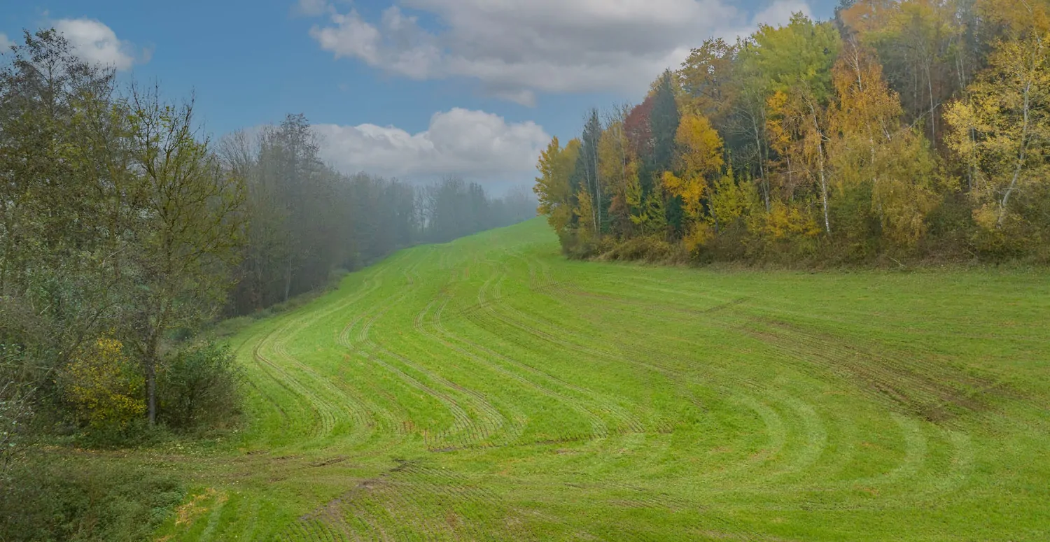 Landwirtschaftliche Wiesenfläche auf mehr als 4,5 ha erweiterbar