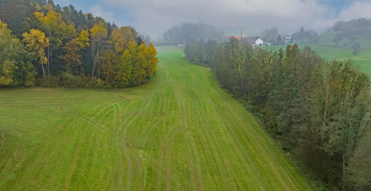 Landwirtschaftliche Wiesenfläche auf mehr als 4,5 ha erweiterbar