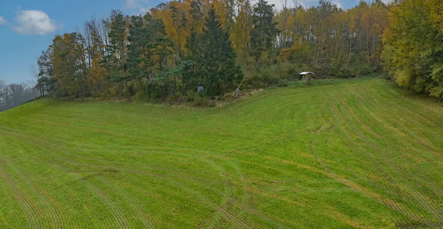 Landwirtschaftliche Wiesenfläche auf mehr als 4,5 ha erweiterbar