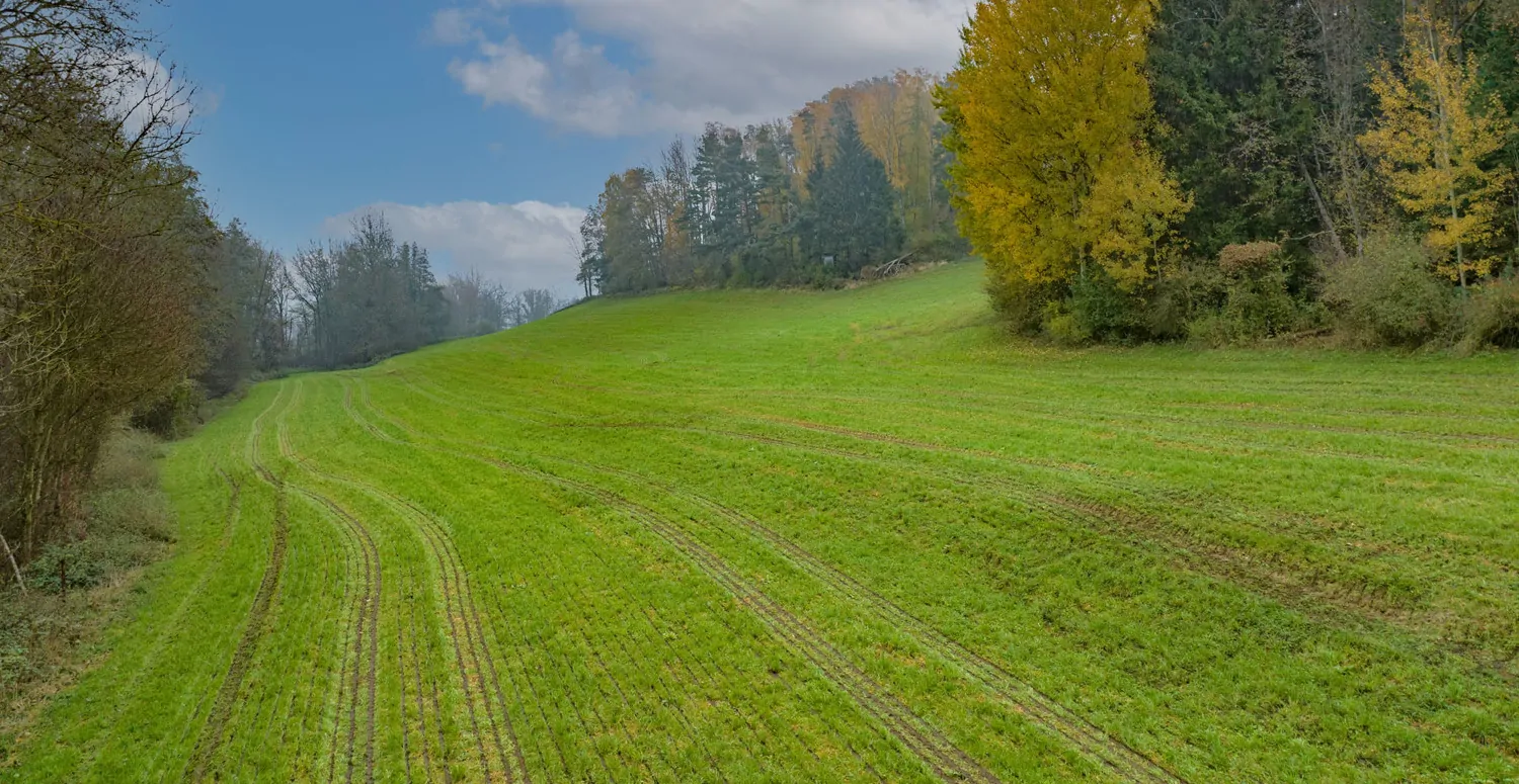 Landwirtschaftliche Wiesenfläche auf mehr als 4,5 ha erweiterbar