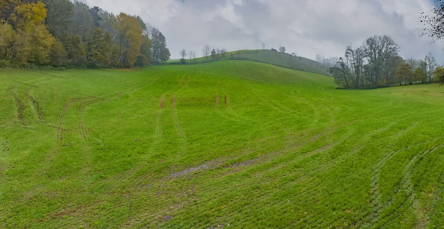 Landwirtschaftliche Wiesenfläche auf mehr als 4,5 ha erweiterbar