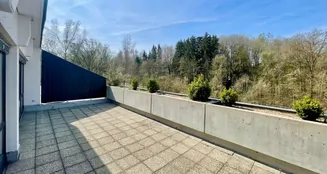 von_poll_real_estate_property_25166011_image_3