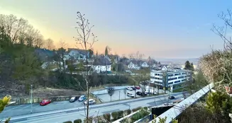 von_poll_real_estate_property_25166011_image_16