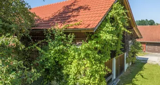 von_poll_real_estate_property_25345024_image_8