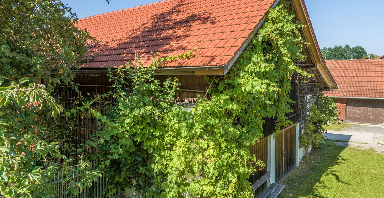 Ehemaliges landwirtschaftliches Anwesen mit 2 Wohnhäusern