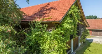 von_poll_real_estate_property_25345024_image_8