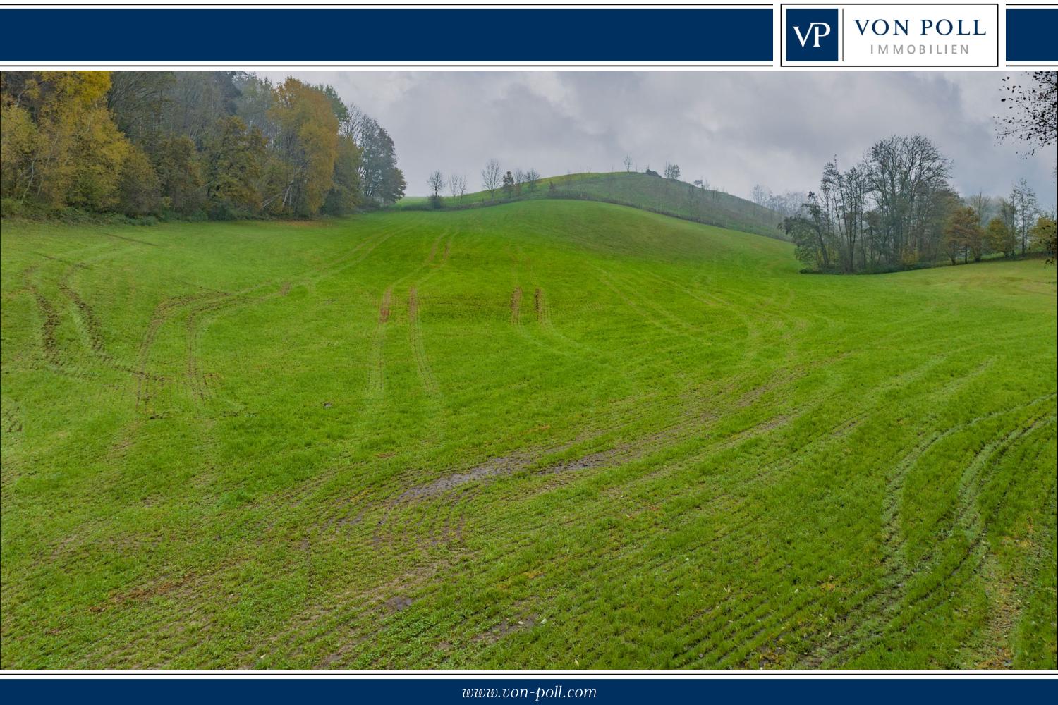 Landwirtschaftliche Wiesenfläche auf mehr als 4,5 ha erweiterbar