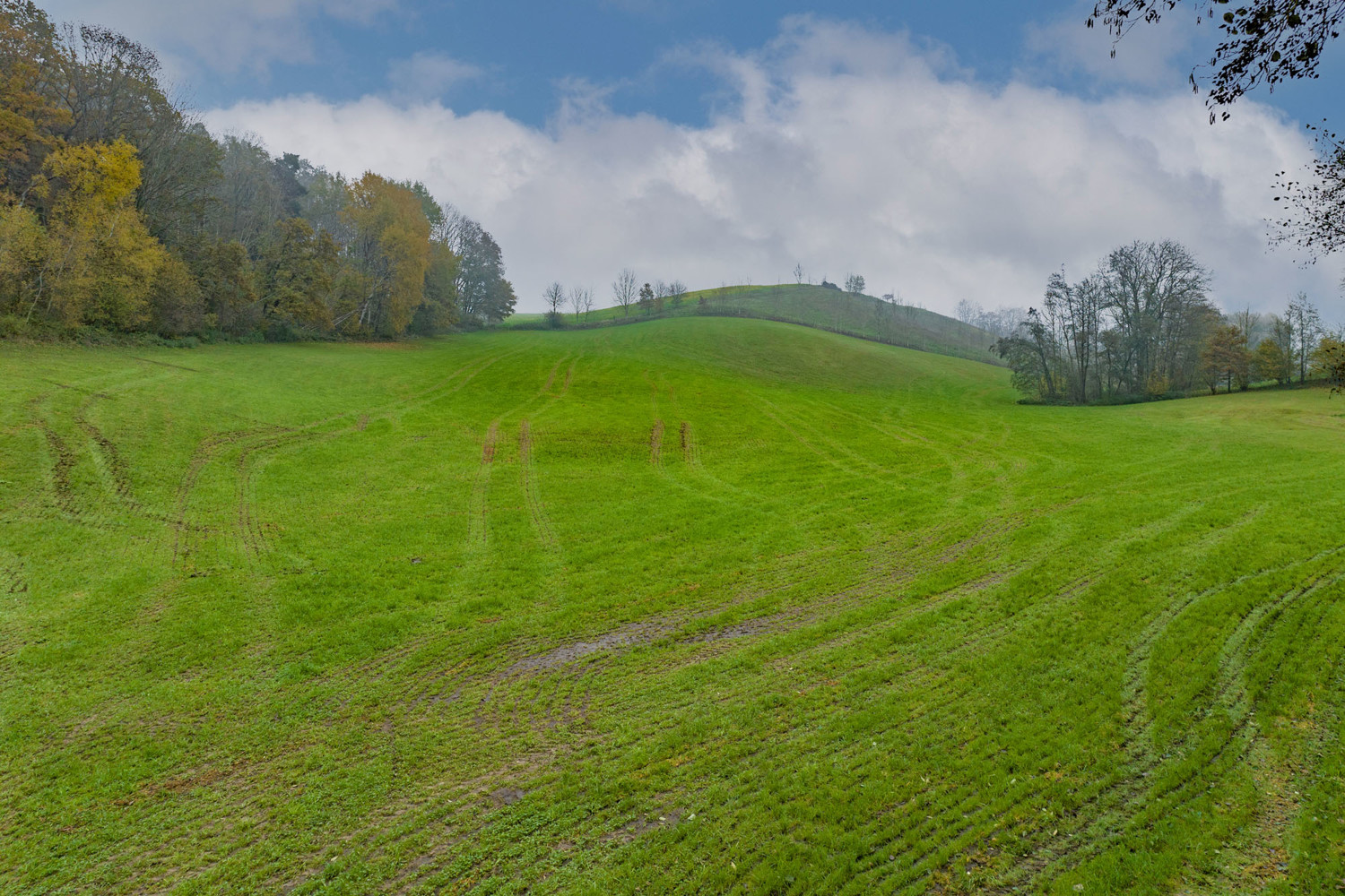 Landwirtschaftliche Wiesenfläche auf mehr als 4,5 ha erweiterbar