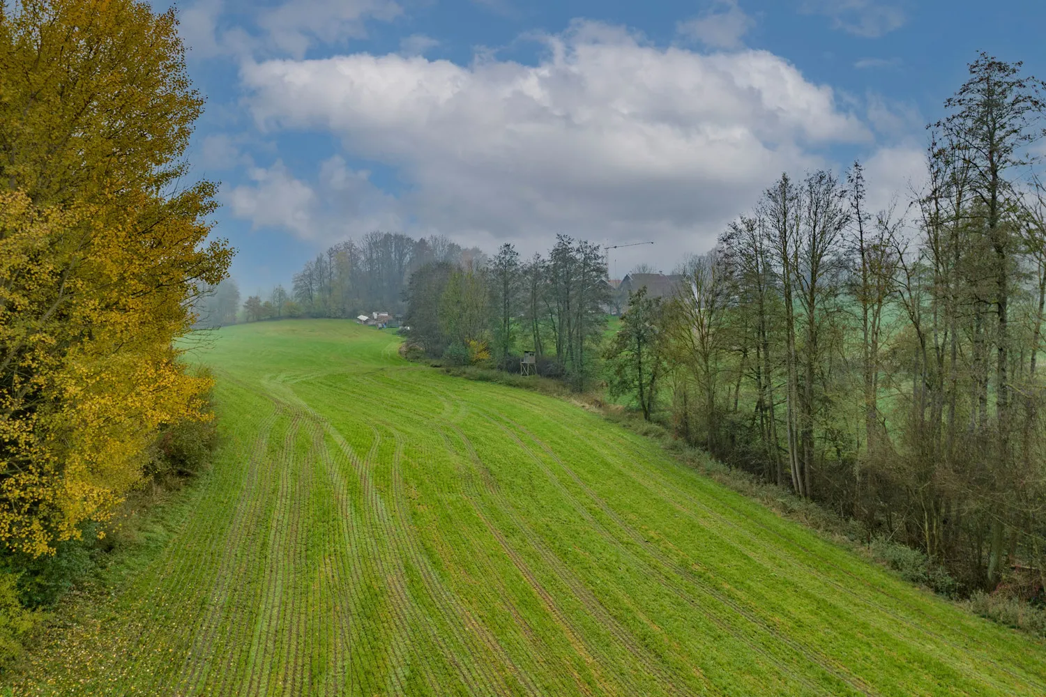 Landwirtschaftliche Wiesenfläche auf mehr als 4,5 ha erweiterbar