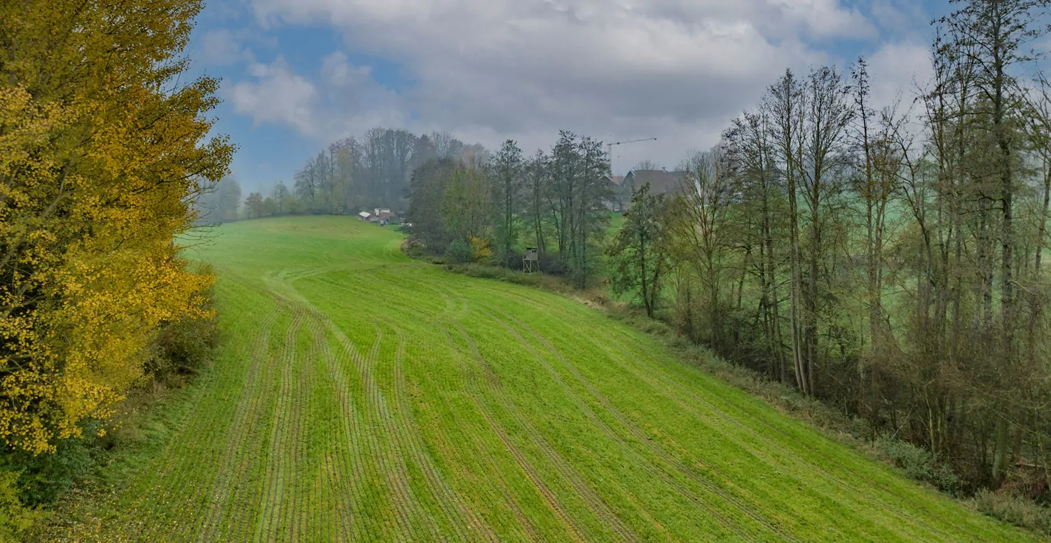 Landwirtschaftliche Wiesenfläche auf mehr als 4,5 ha erweiterbar