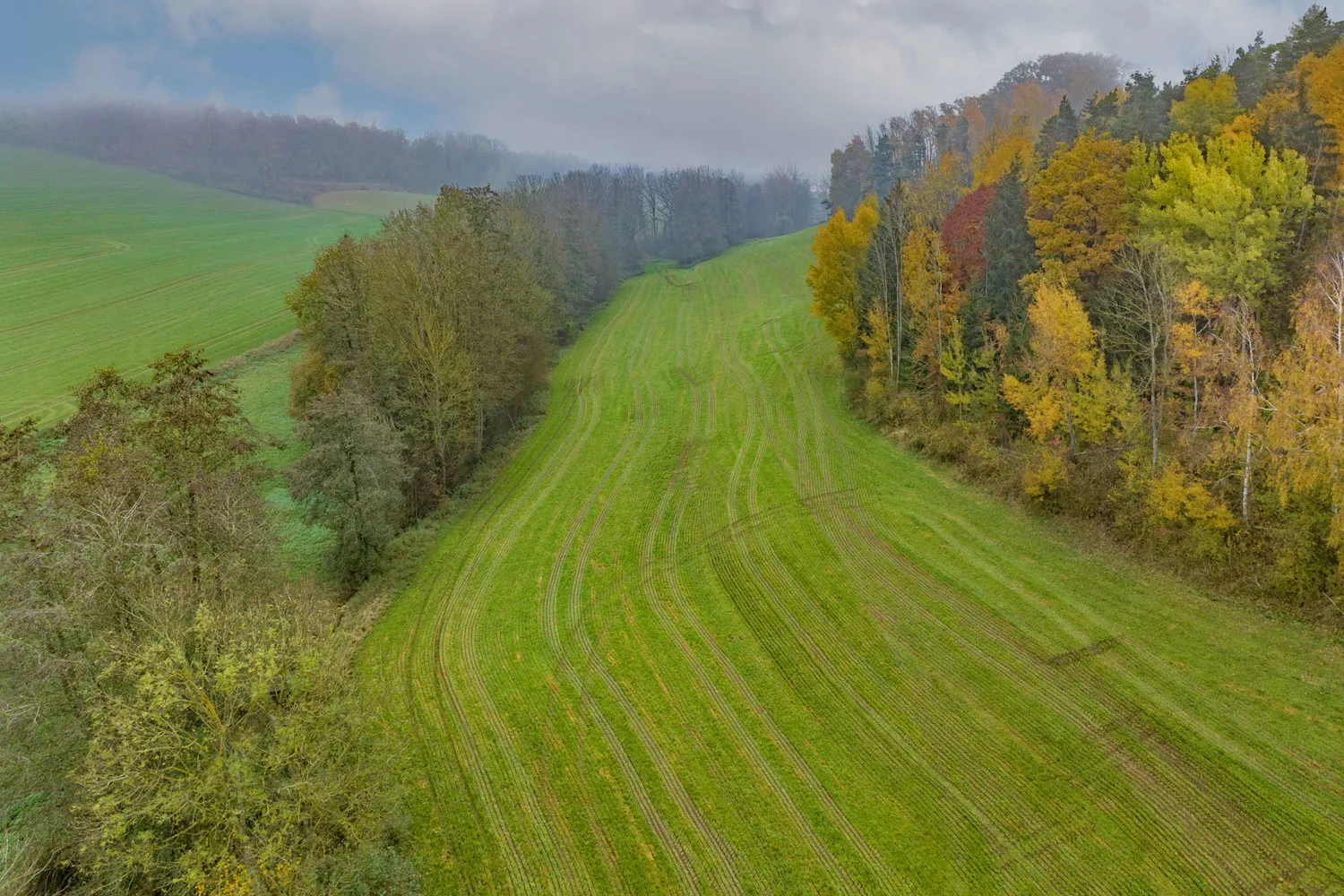 Landwirtschaftliche Wiesenfläche auf mehr als 4,5 ha erweiterbar