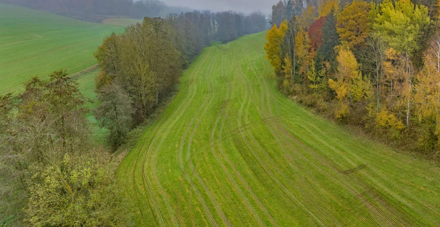 Landwirtschaftliche Wiesenfläche auf mehr als 4,5 ha erweiterbar
