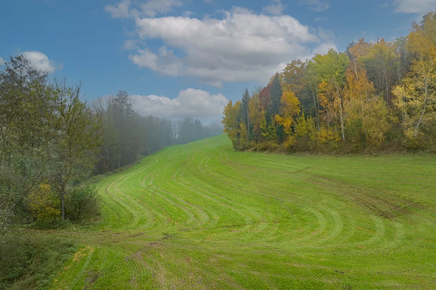Landwirtschaftliche Wiesenfläche auf mehr als 4,5 ha erweiterbar
