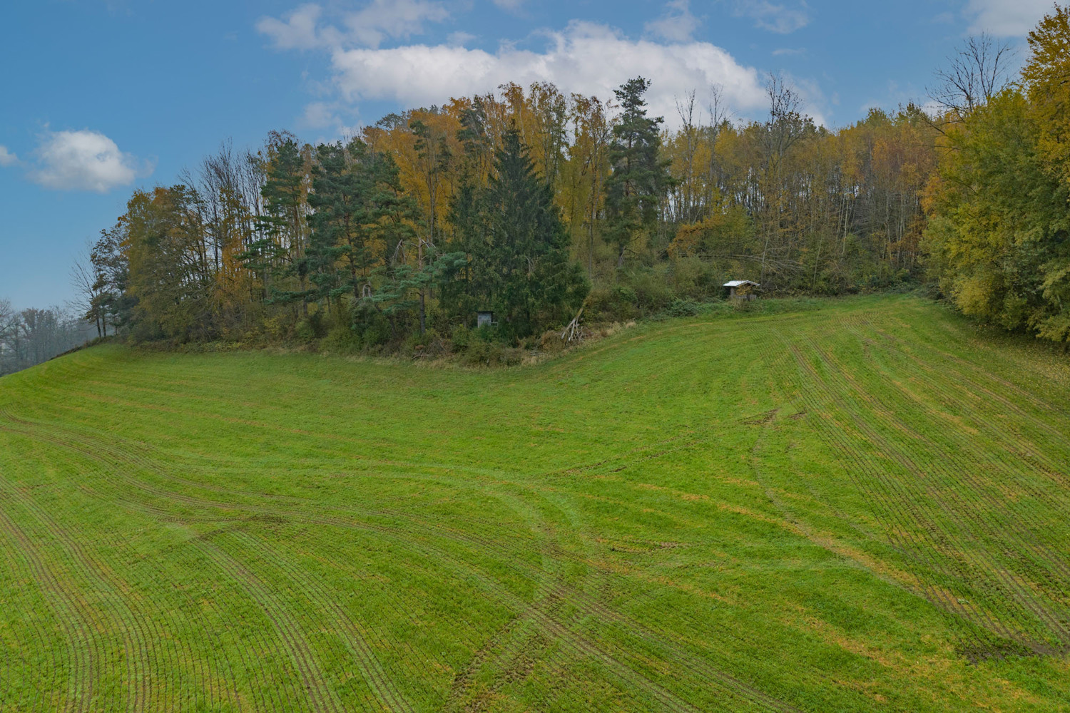 Landwirtschaftliche Wiesenfläche auf mehr als 4,5 ha erweiterbar