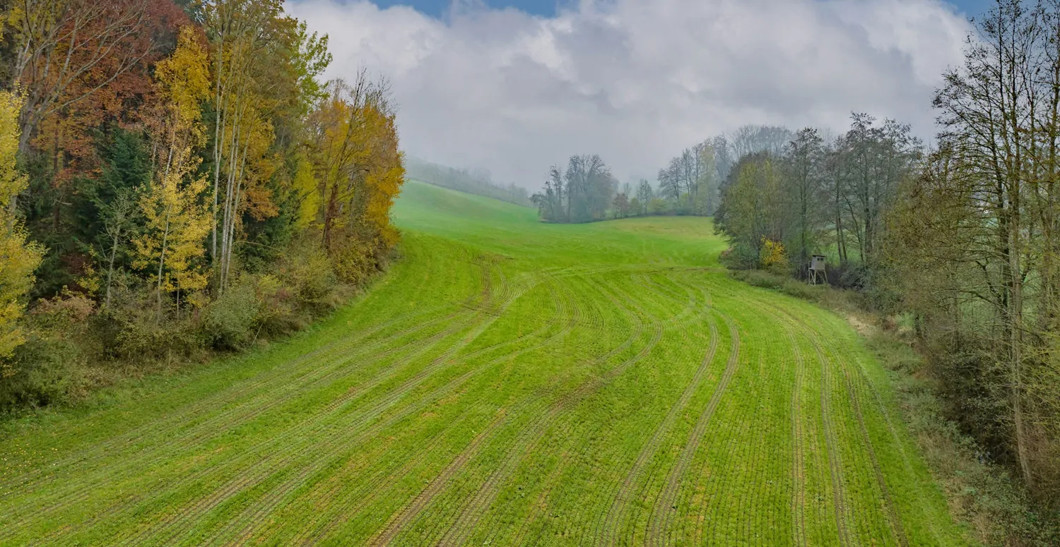 Landwirtschaftliche Wiesenfläche auf mehr als 4,5 ha erweiterbar