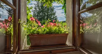 von_poll_real_estate_property_25345023_image_63