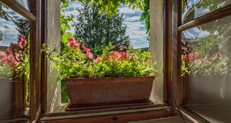von_poll_real_estate_property_25345023_image_64