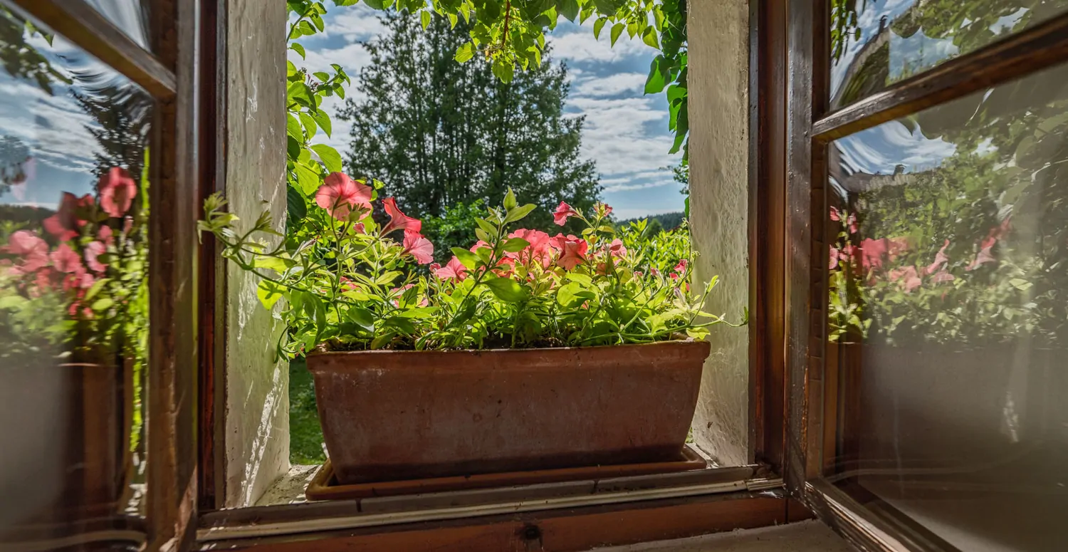 Denkmalgeschütztes Wohnhaus aus dem 18. Jahrhundert, ehemaliges Mühlengebäude in idyllischem Garten