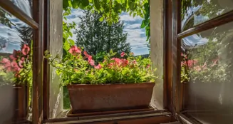 von_poll_real_estate_property_25345023_image_63