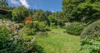 von_poll_real_estate_property_25345023_image_61