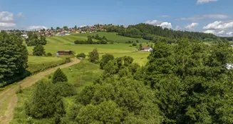 von_poll_real_estate_property_25345023_image_54