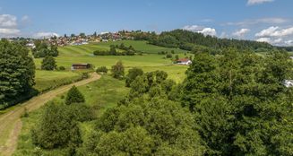 von_poll_real_estate_property_25345023_image_55