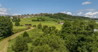 von_poll_real_estate_property_25345023_image_54