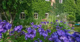 von_poll_real_estate_property_25345023_image_48