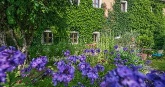 von_poll_real_estate_property_25345023_image_48