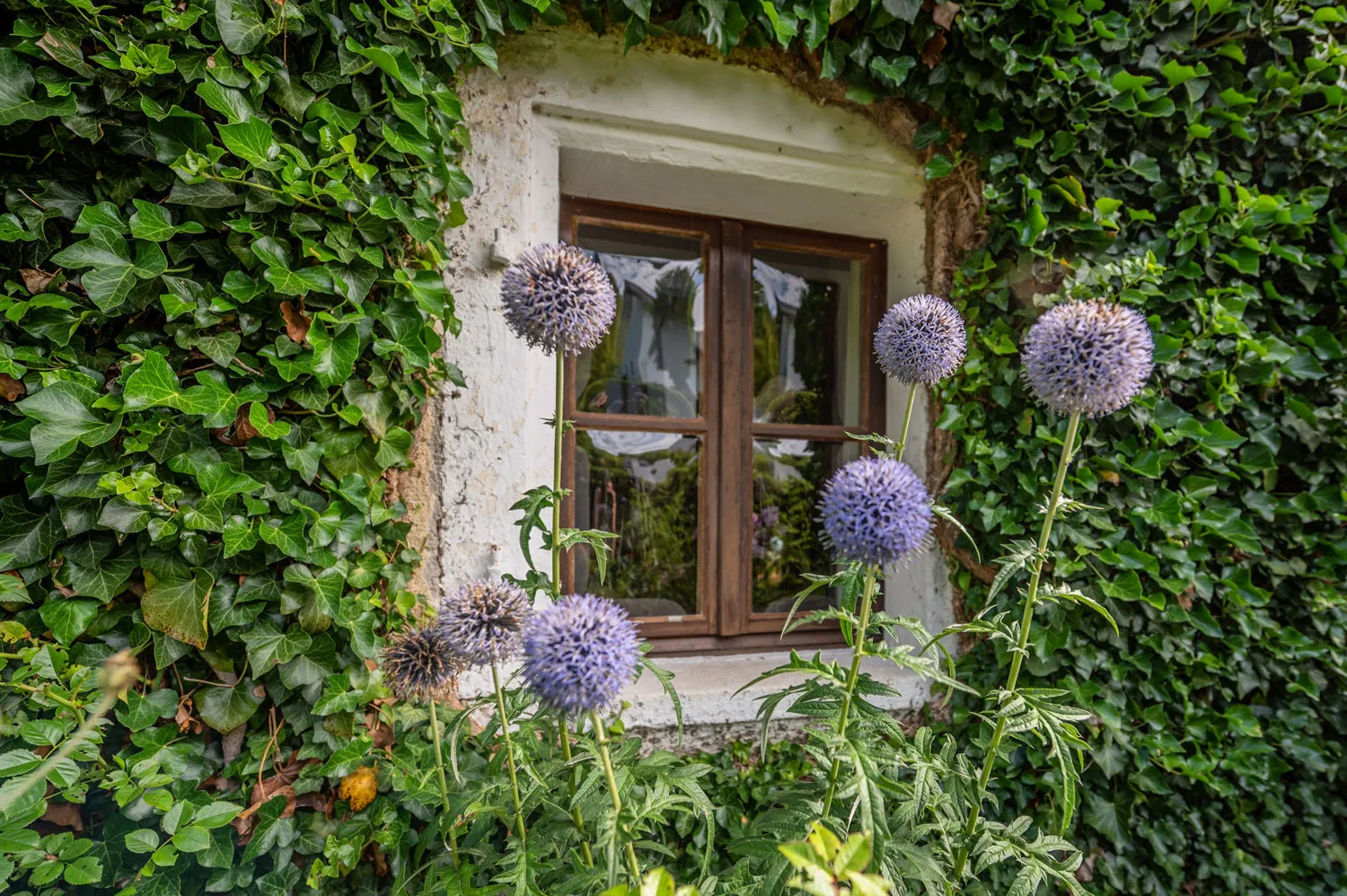 Denkmalgeschütztes Wohnhaus aus dem 18. Jahrhundert, ehemaliges Mühlengebäude in idyllischem Garten