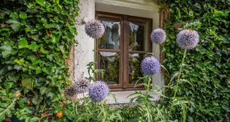 von_poll_real_estate_property_25345023_image_47