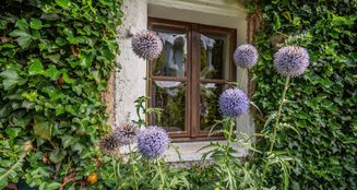 von_poll_real_estate_property_25345023_image_48